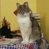 Отзыв от Ксения Нестерова